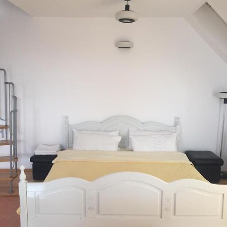 Sancraiu de Mures Casa Flavia 아파트 외부 사진