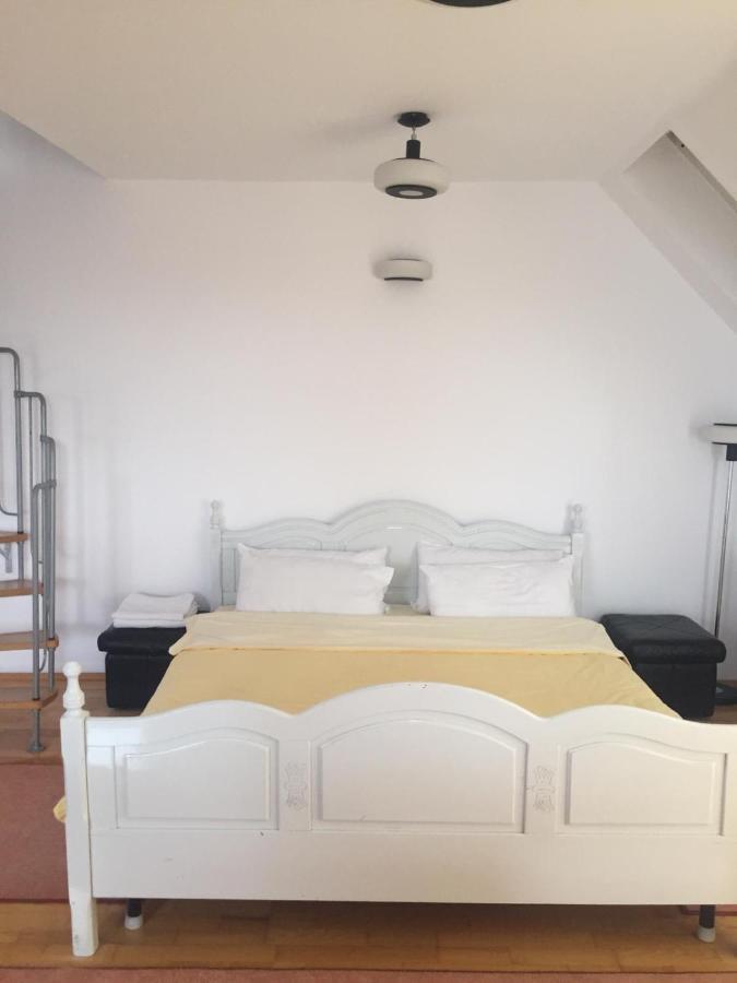 Sancraiu de Mures Casa Flavia 아파트 외부 사진